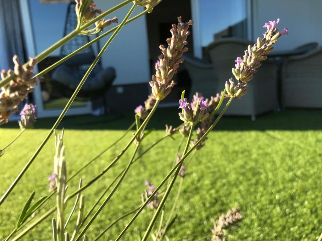 טרוגיר Hedonist-Luxury 2 Bedroom Apartment With Private Hot Tub, Garden And Free Parking מראה חיצוני תמונה