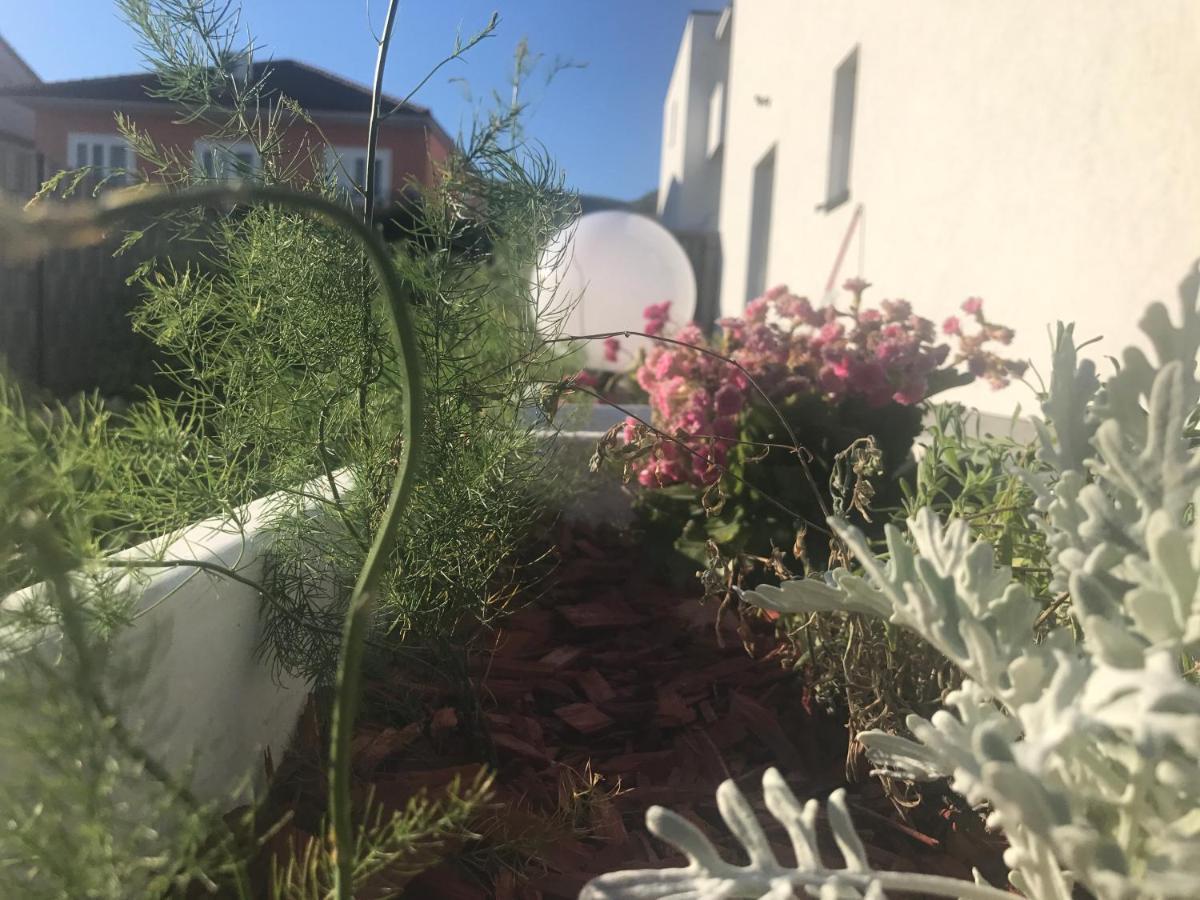 טרוגיר Hedonist-Luxury 2 Bedroom Apartment With Private Hot Tub, Garden And Free Parking מראה חיצוני תמונה
